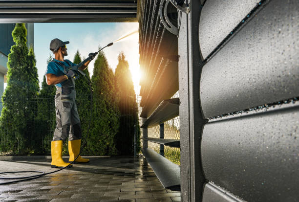 Best Fleet Vehicle Washing  in Vla Grove, IL
