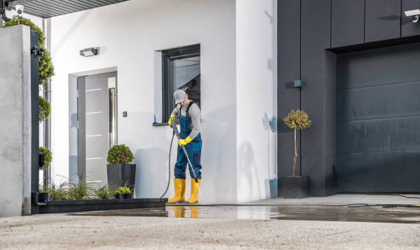 Best Animal Enclosure Cleaning  in Vla Grove, IL